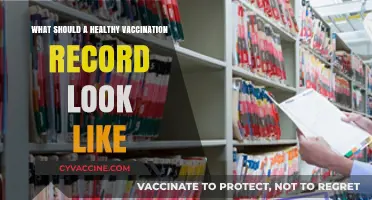 Essential Components of a Comprehensive and Up-to-Date Vaccination Record