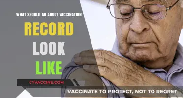 Essential Components of an Adult Vaccination Record: A Comprehensive Guide