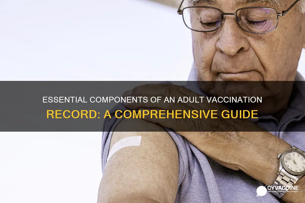what should an adult vaccination record look like