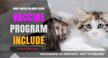Essential Components of a Comprehensive Feline Vaccination Program