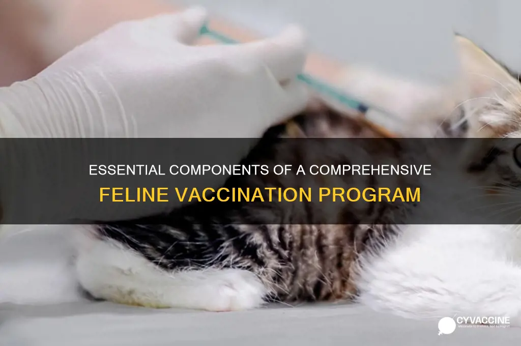 what should an ideal feline vaccine program include