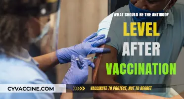 Understanding Optimal Antibody Levels Post-Vaccination: What to Expect