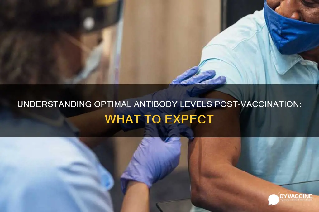 what should be the antibody level after vaccination