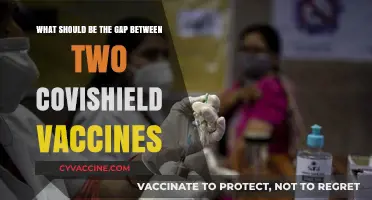 Optimal Covishield Vaccine Gap: Timing for Maximum Immunity and Safety