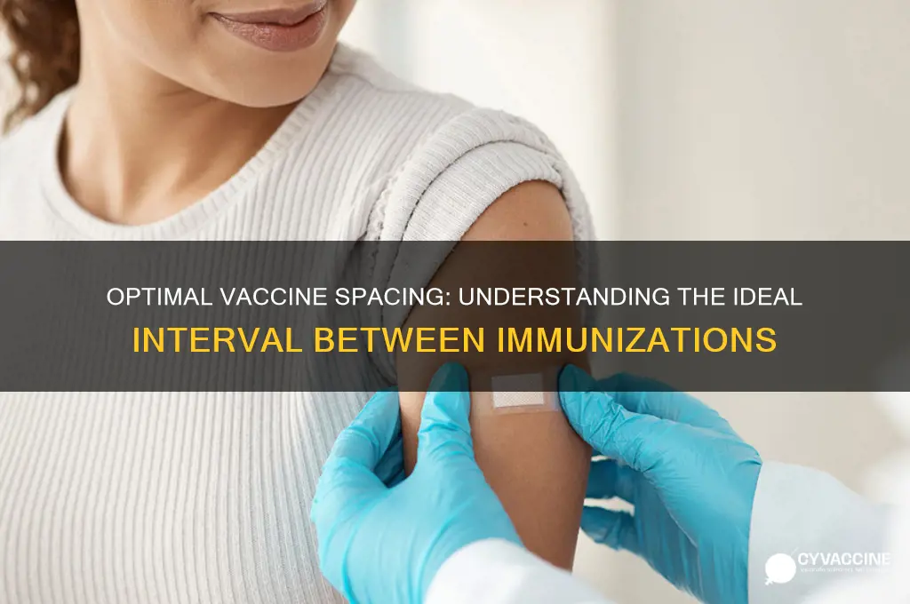 what should be the interval between two vaccines