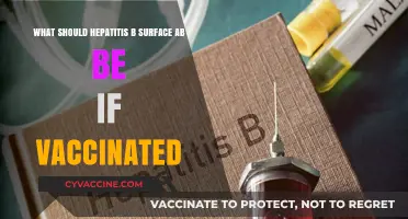 Understanding Hepatitis B Surface Antibody Levels Post-Vaccination: What to Expect