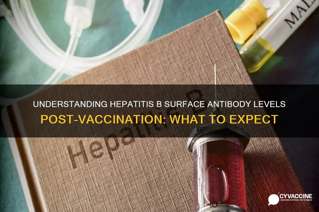 what should hepatitis b surface ab be if vaccinated