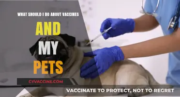 Pet Vaccines: Essential Steps to Keep Your Furry Friends Healthy