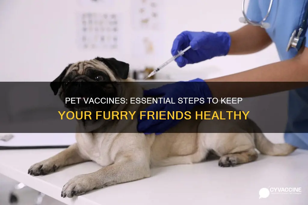 what should i do about vaccines and my pets