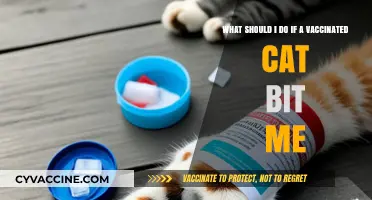 Vaccinated Cat Bite: Immediate Steps and Precautions to Take
