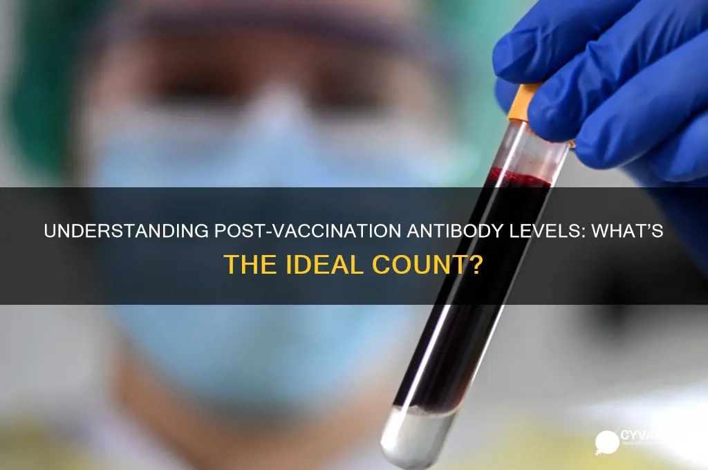 what should the antibody count be after vaccine