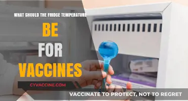 Optimal Fridge Temperature for Vaccine Storage: A Critical Guide