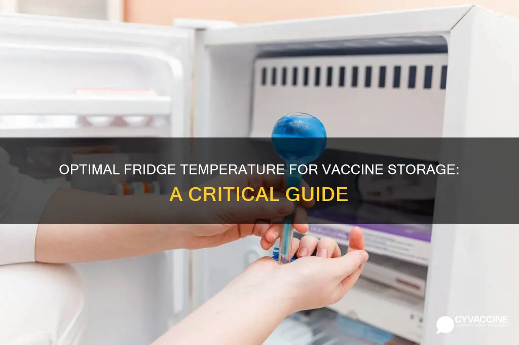 what should the fridge temperature be for vaccines