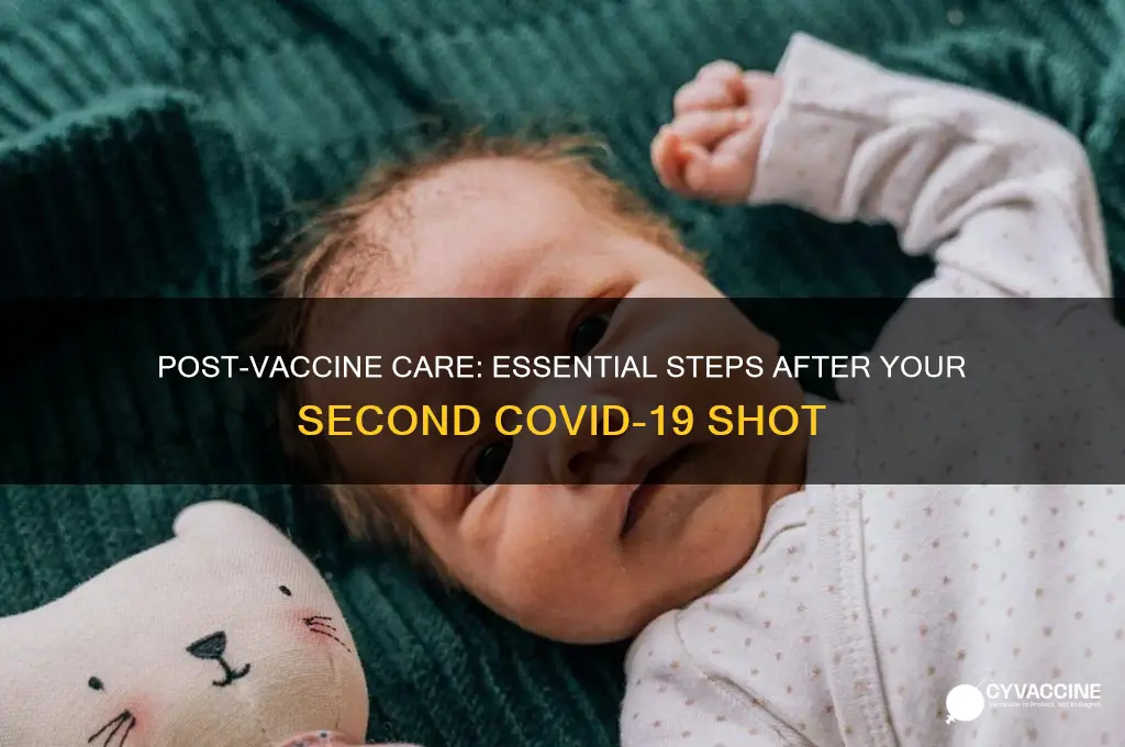 what should you do after your 2nd vaccine shot