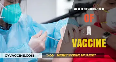Understanding the Average Cost of Vaccines: A Comprehensive Guide