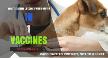 Puppy 5-in-1 Vaccine Needle Size: What You Need to Know