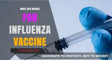 Choosing the Right Needle Size for Your Influenza Vaccine