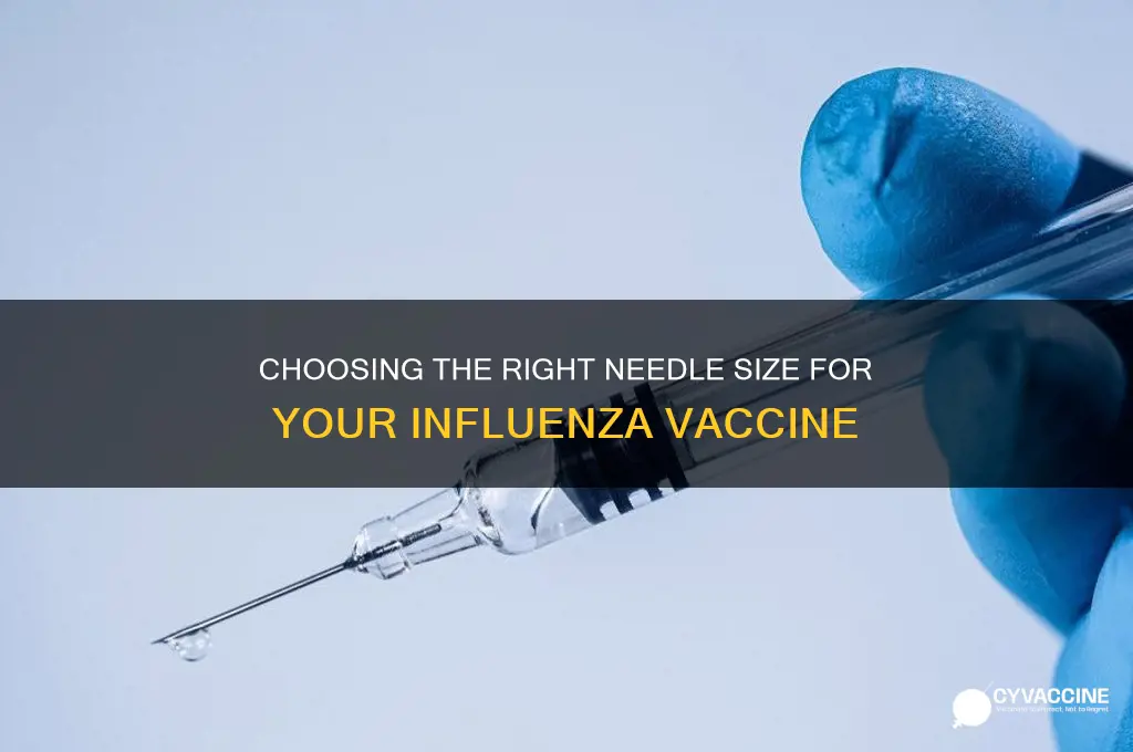 what size needle for influenza vaccine