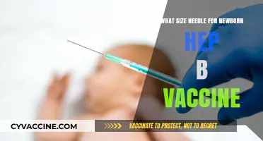 Choosing the Right Needle Size for Newborn Hepatitis B Vaccination