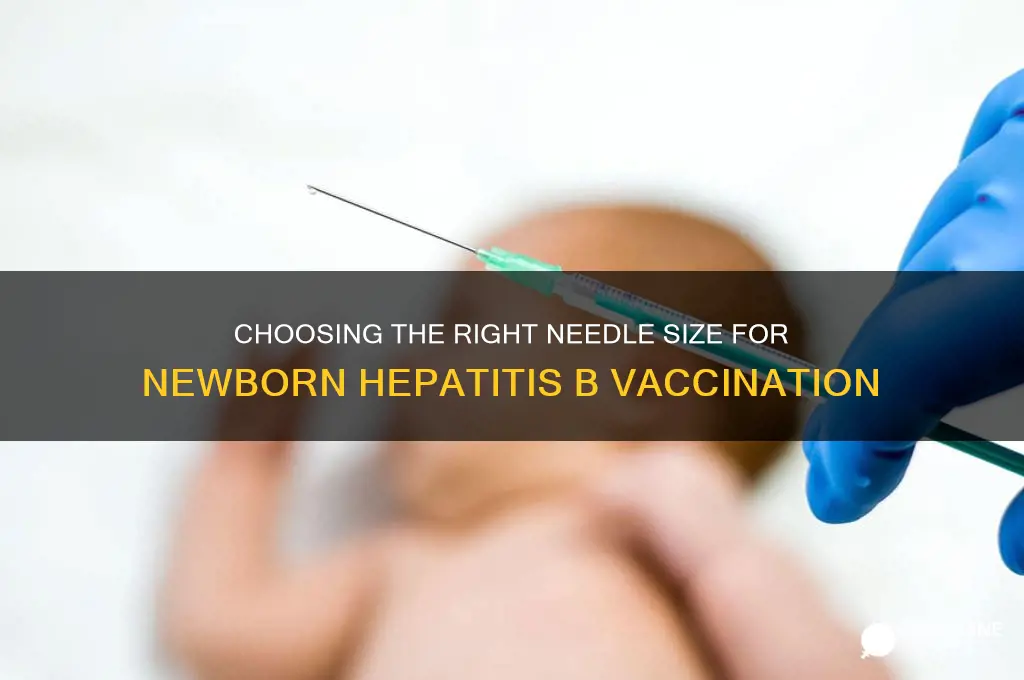 what size needle for newborn hep b vaccine