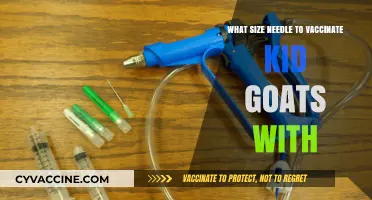 Choosing the Right Needle Size for Vaccinating Kid Goats