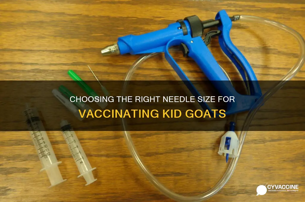 what size needle to vaccinate kid goats with
