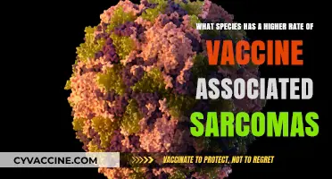 Vaccine-Associated Sarcomas: Which Species Faces the Highest Risk?