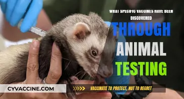 Animal Testing Contributions: Key Vaccines Developed Through Research