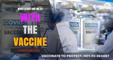 Global Vaccine Progress: Current Stage, Challenges, and Future Outlook