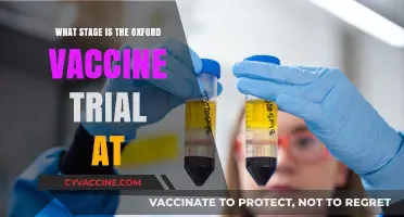 Oxford Vaccine Trial Progress: Current Stage and Latest Updates