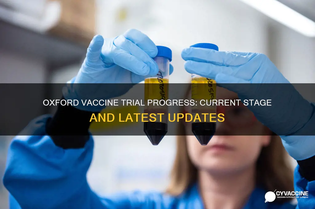 what stage is the oxford vaccine trial at