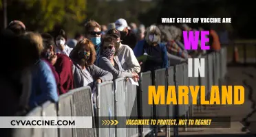 Maryland's Vaccine Rollout: Current Stage and Distribution Updates