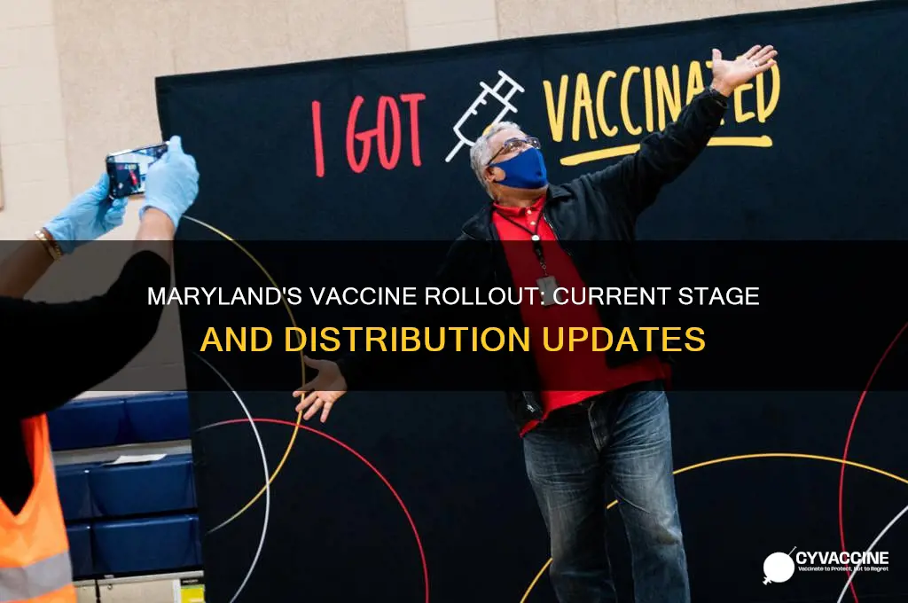 what stage of vaccine are we in maryland