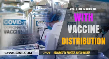 Leading the Way: Which State Excels in Vaccine Distribution?
