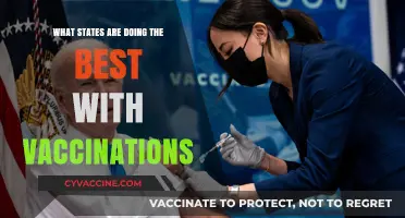 Leading the Charge: Top States Excelling in COVID-19 Vaccination Efforts