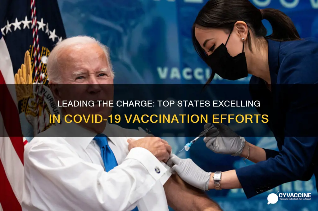 what states are doing the best with vaccinations