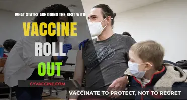 Leading the Charge: Top States Excelling in COVID-19 Vaccine Rollout