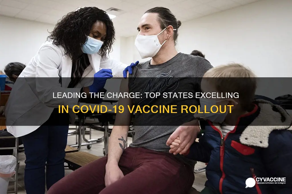 what states are doing the best with vaccine roll out