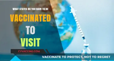 Travel Vaccination Requirements: Which U.S. States Mandate Vaccines for Visitors?