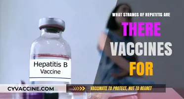 Hepatitis Vaccines: Which Strains Are Covered and Why It Matters