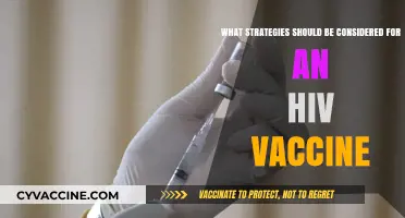 Innovative Strategies for Developing an Effective HIV Vaccine: Key Considerations