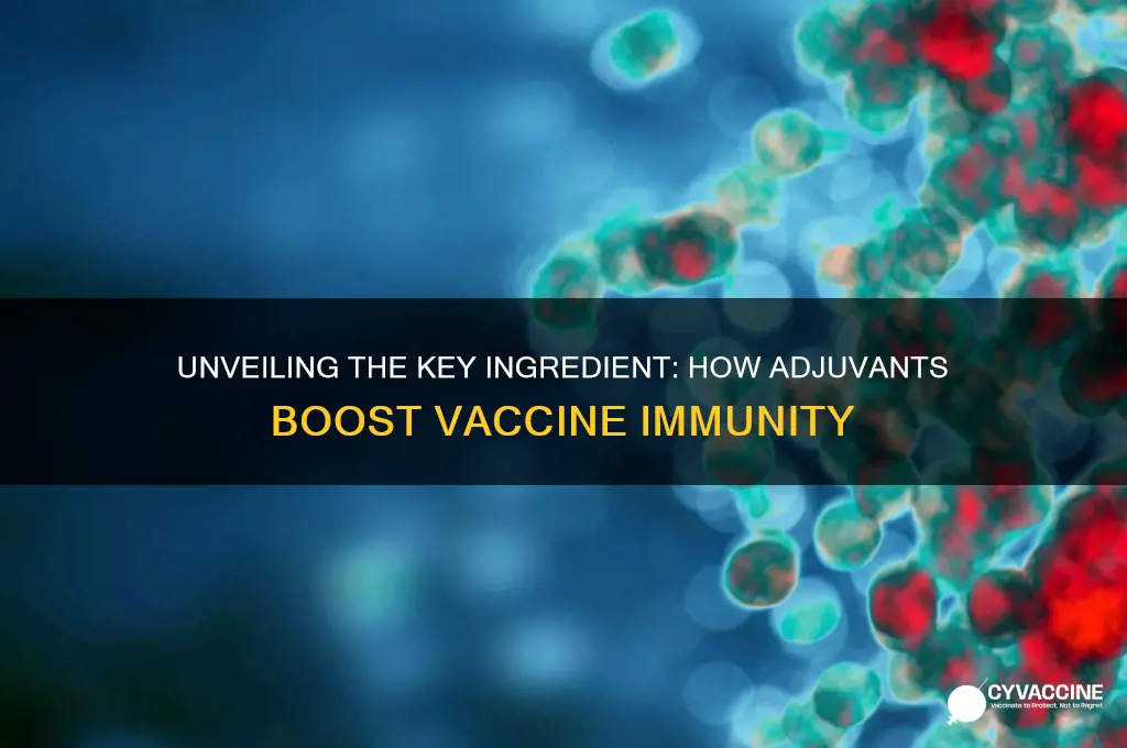 what substance in a vaccine stimulates the immune system
