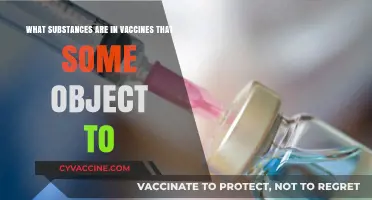 Vaccine Ingredients Explained: Addressing Common Concerns and Misconceptions