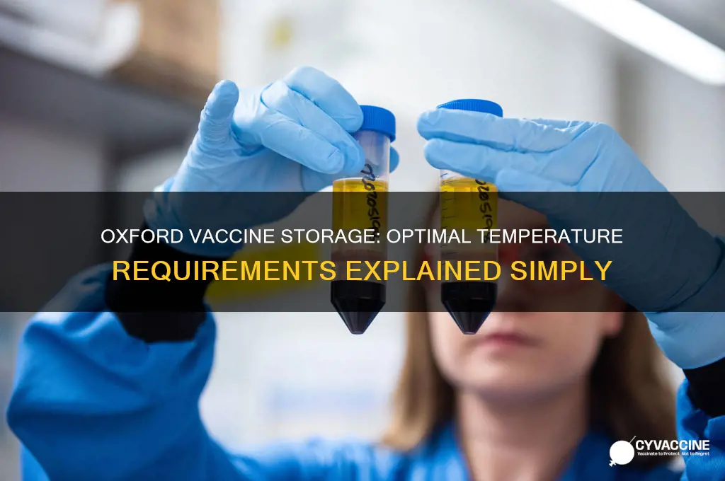 what temperature is the oxford vaccine stored at
