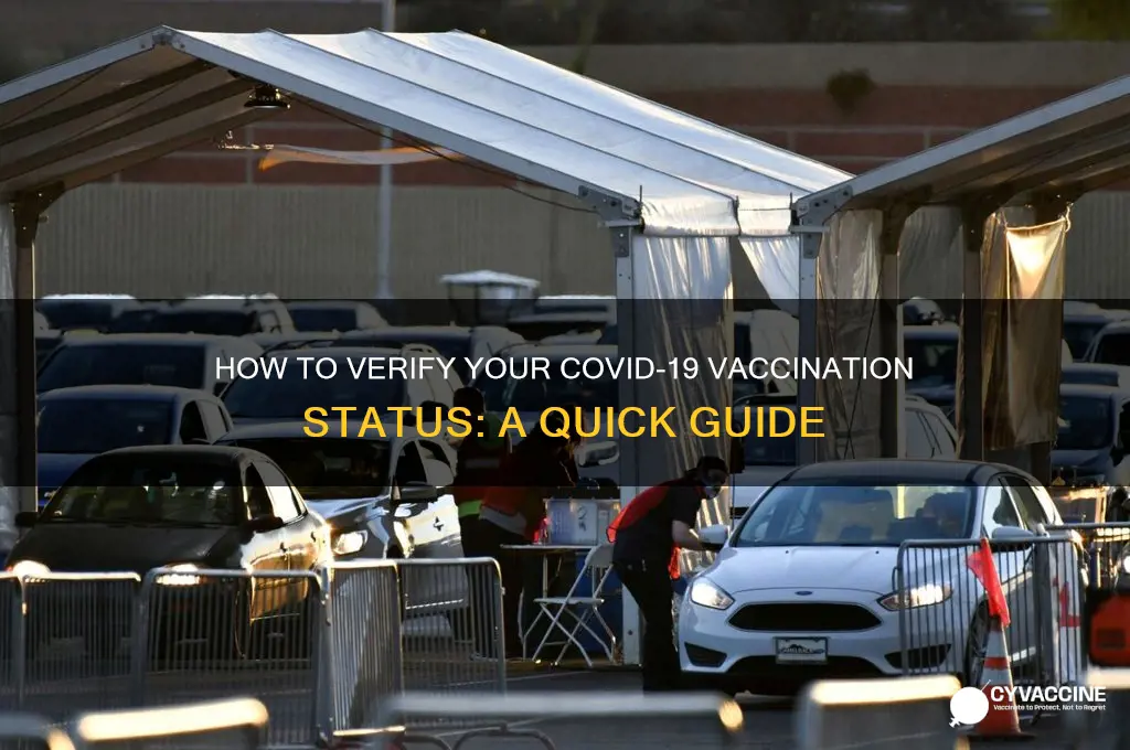 what testing to see if i got the vaccine