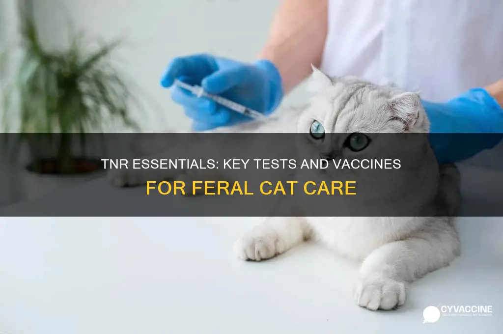 what tests and vaccines are done during tnr