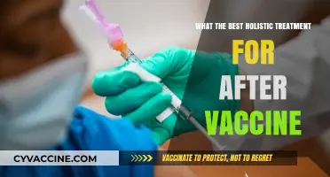 Holistic Post-Vaccine Care: Natural Remedies for Recovery and Wellness