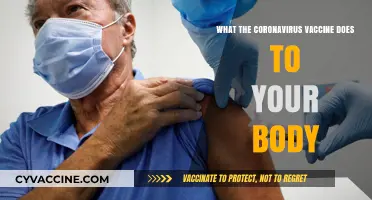 How the Coronavirus Vaccine Protects and Transforms Your Body's Defense