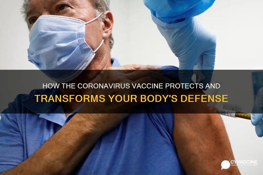 what the coronavirus vaccine does to your body