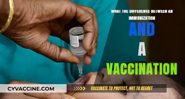Immunization vs. Vaccination: Understanding the Key Differences and Benefits